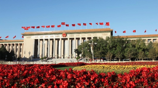 像石榴籽一樣緊緊抱在一起——新時代中華民族共同體意識越鑄越牢