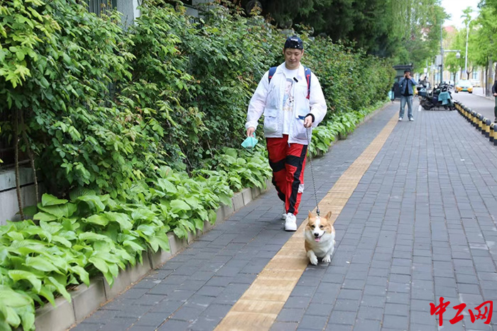 圖片 1 拷貝