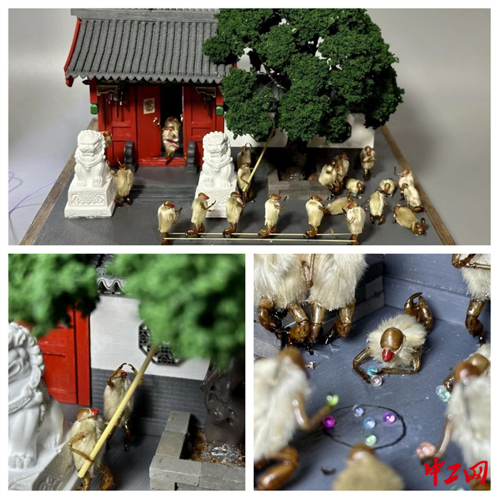 圖片 5