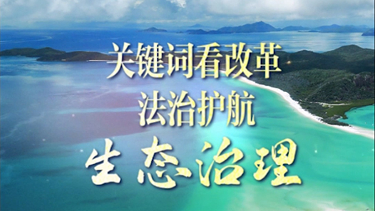 聯播觀察｜關鍵詞看改革 法治護航生態治理
