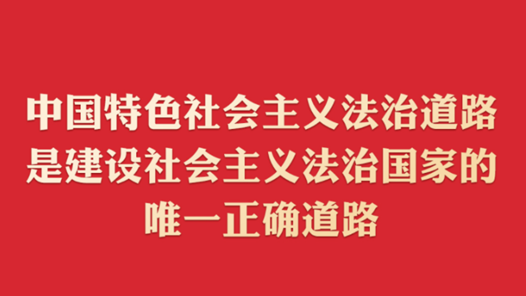 奮進強國路 闊步新征程丨讓公平正義之光普照大地