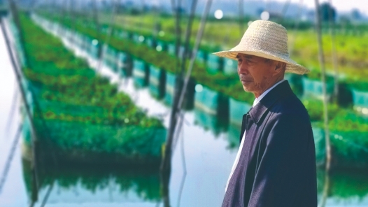 輝煌75載 與共和國同成長的勞動(dòng)模范 | 陳江啟：網(wǎng)箱養(yǎng)鱔蹚出致富路
