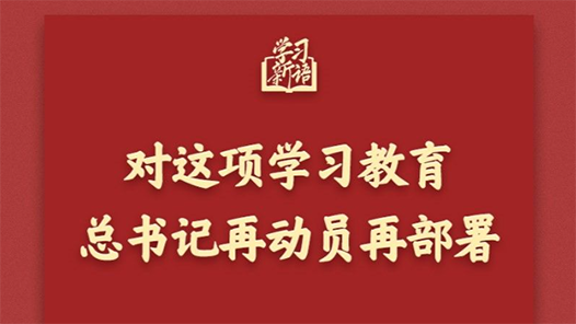 學(xué)習(xí)新語｜對這項學(xué)習(xí)教育，總書記再動員再部署