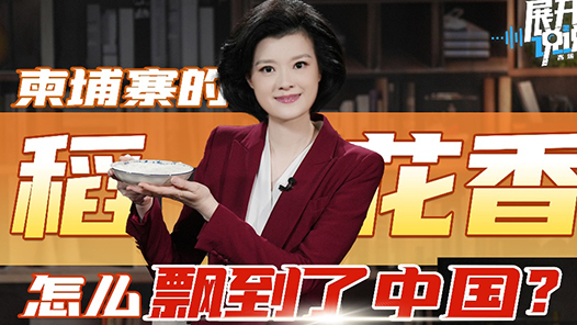 柬埔寨的“稻花香”怎么飄到了中國？