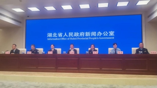 湖北成立全國首個版權仲裁庭，全年化解版權糾紛案件345件