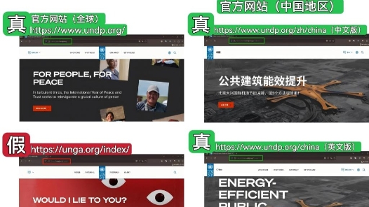 “國際機構”的證書花錢就能買？——揭秘假證產(chǎn)業(yè)鏈