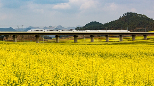 蹚出“花”式鄉(xiāng)村振興路