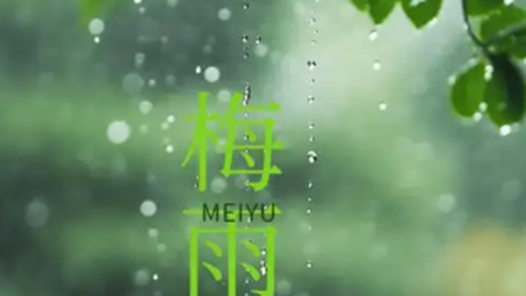 如何平安度過梅雨季？專家告訴你怎么做