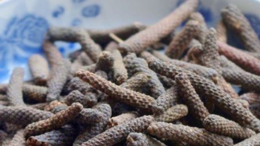 中藥材蓽茇中發現新穎活性成分