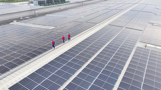 李翠婷：逐夢光伏 讓清潔綠電跨越山海